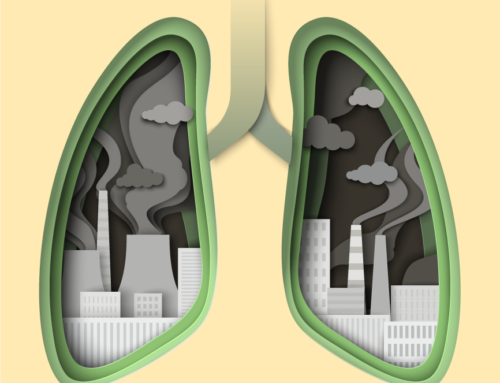 Lowering Your Risk From Air Pollution